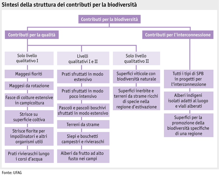 Zoom: ab19_politik_direktzahlungen_grafik_biodiversitaetsbeitraege_i.png