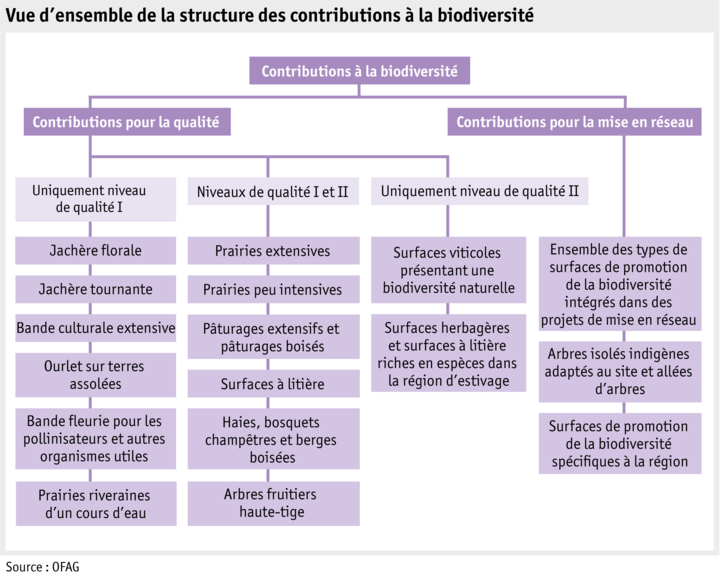 Zoom: ab19_politik_direktzahlungen_grafik_biodiversitaetsbeitraege_f.png