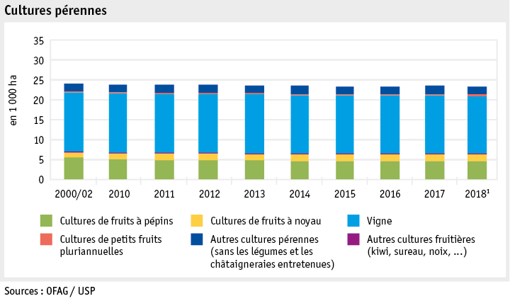 Zoom: ab19_produktion_pflanzli_produktion_grafik_flaechennutzung_dauerkulturen_f.png