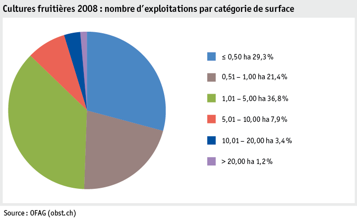 Zoom: ab19_produktion_pflanzli_produktion_grafik_obstanlagen_betriebe_flaechenkat_2008_f.png