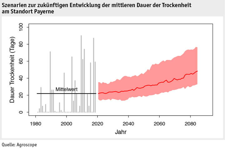 Zoom: ab2019_umwelt_klima_trockenheit_payerne_d.jpg